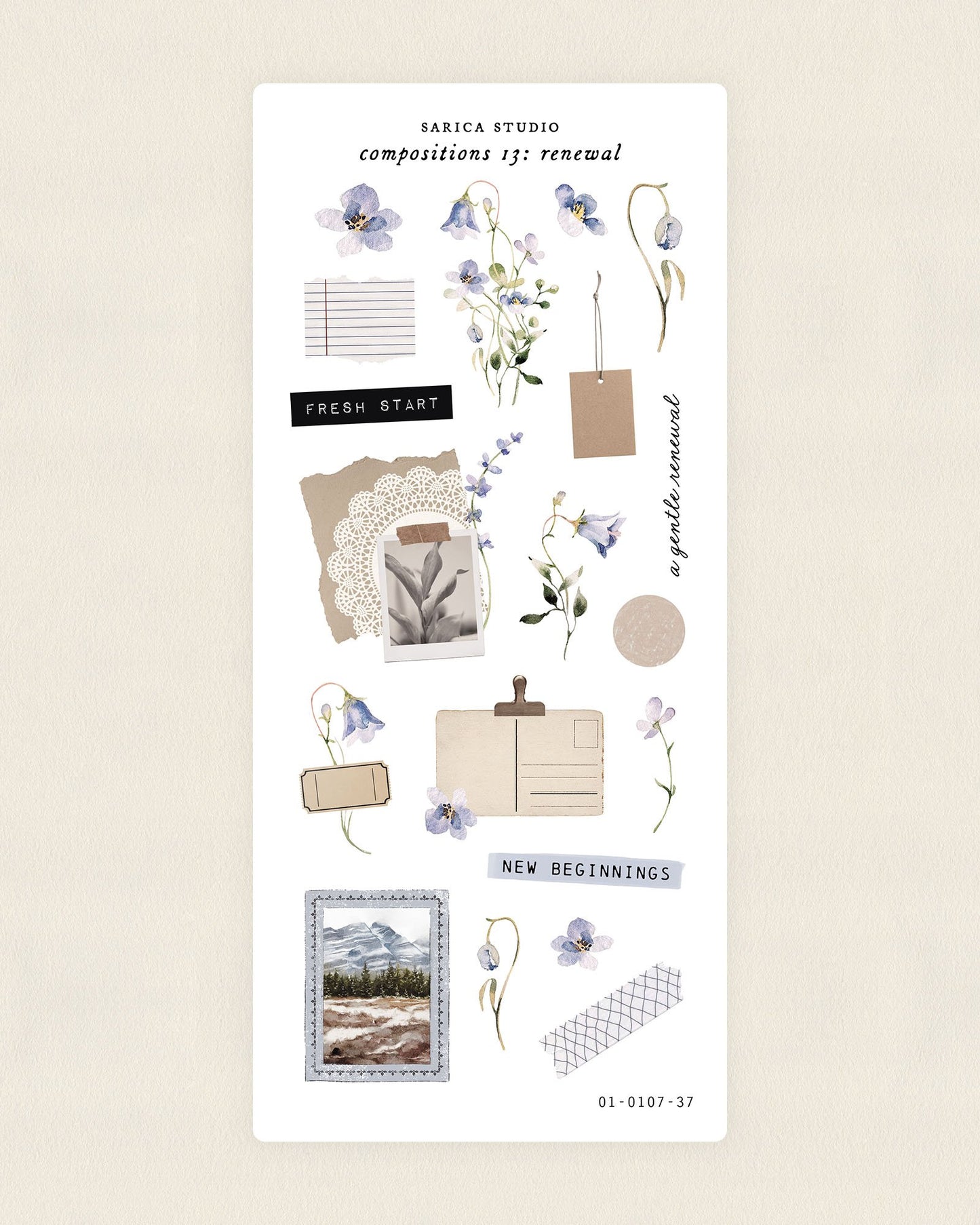 Compositions 13: Renewal