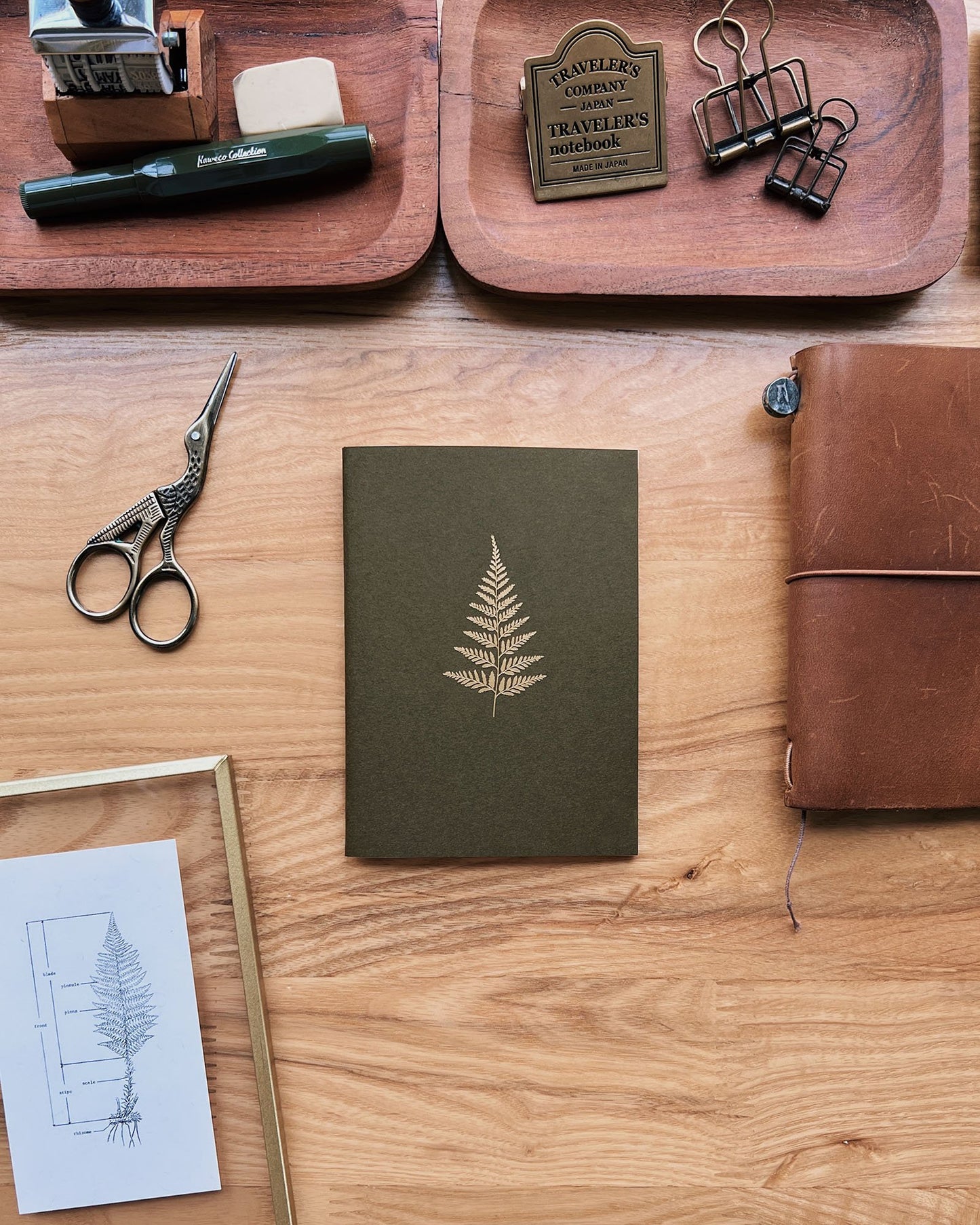 Fern Notebook (Passport TN Size)