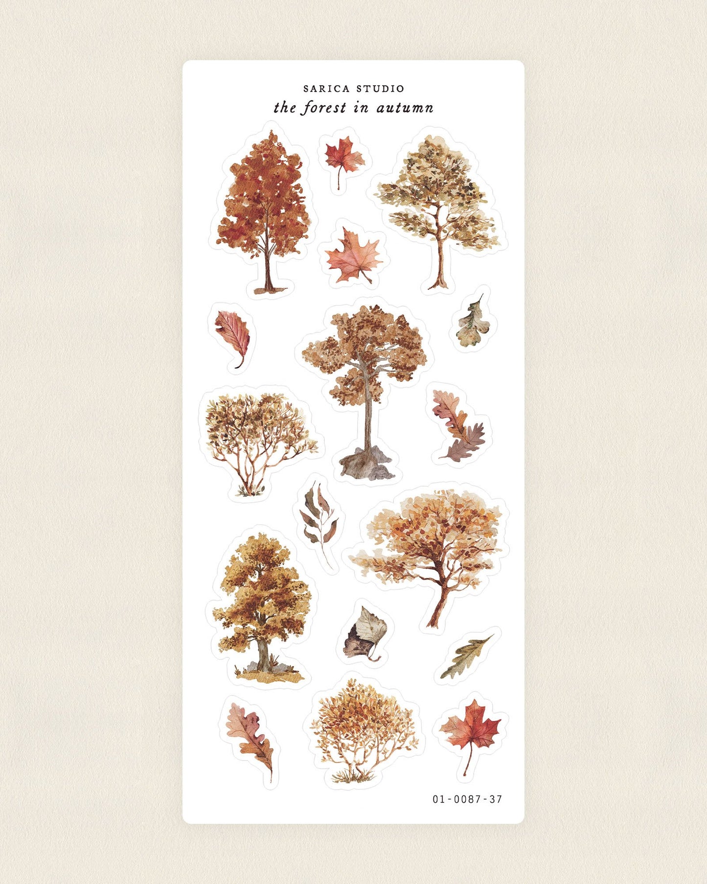 The Forest in Autumn Stickers