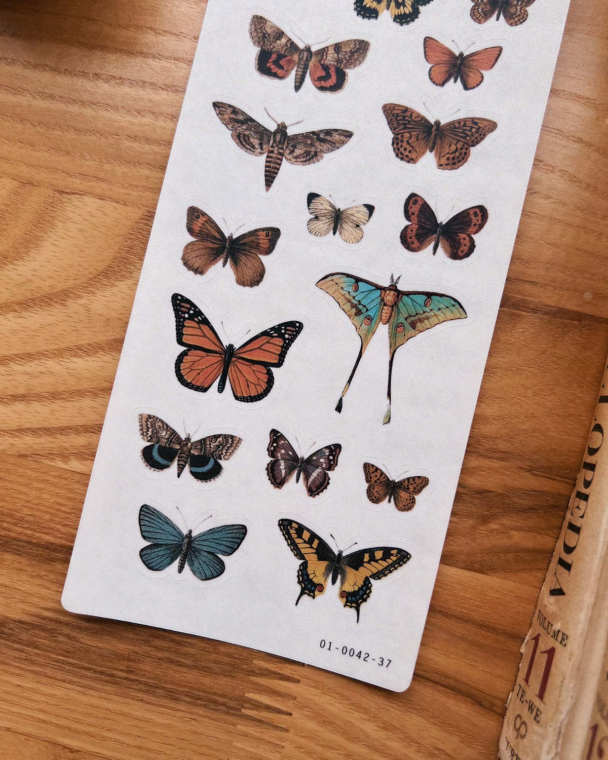 Butterflies & Moths Stickers