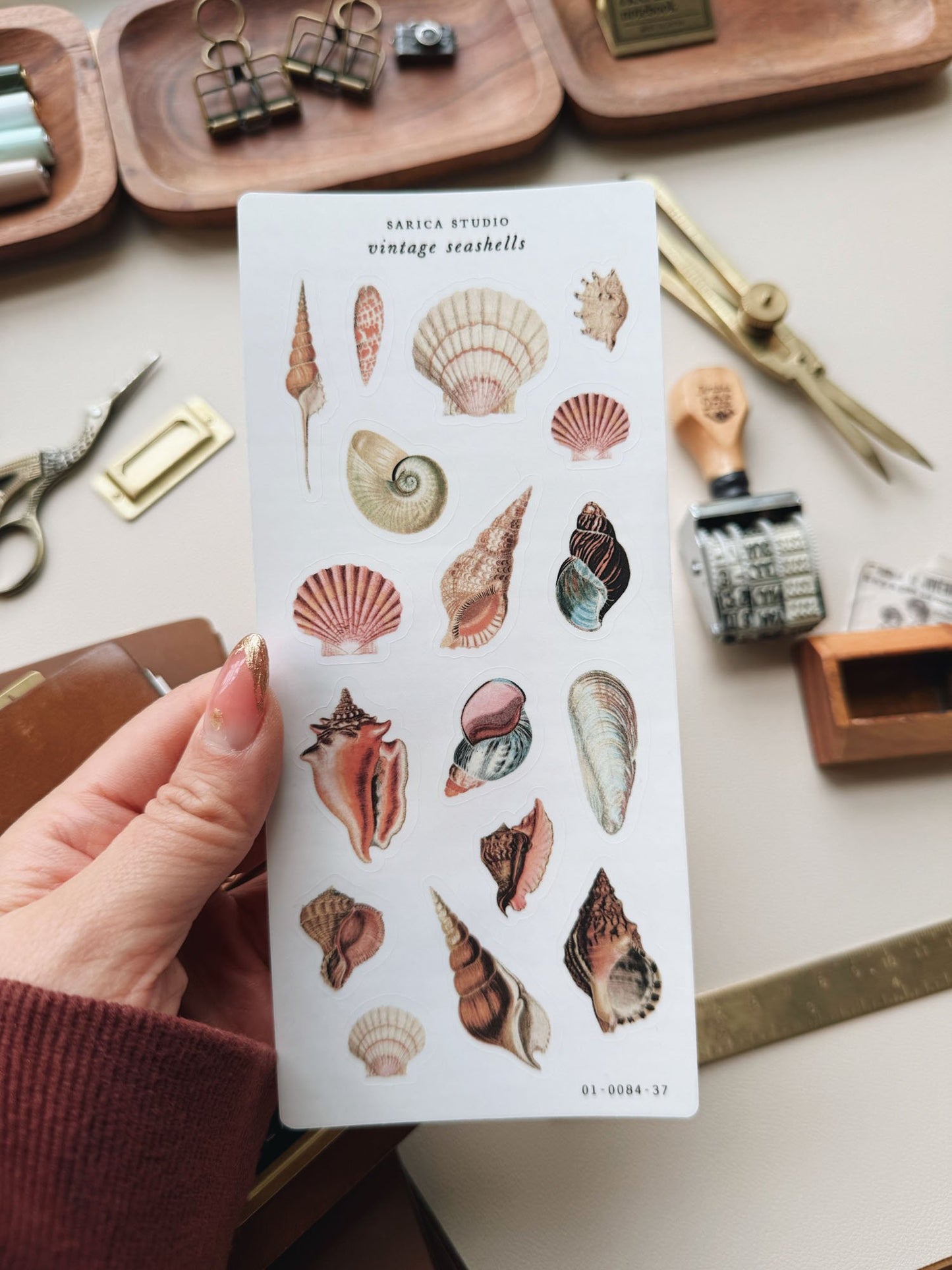 Vintage Seashells Stickers