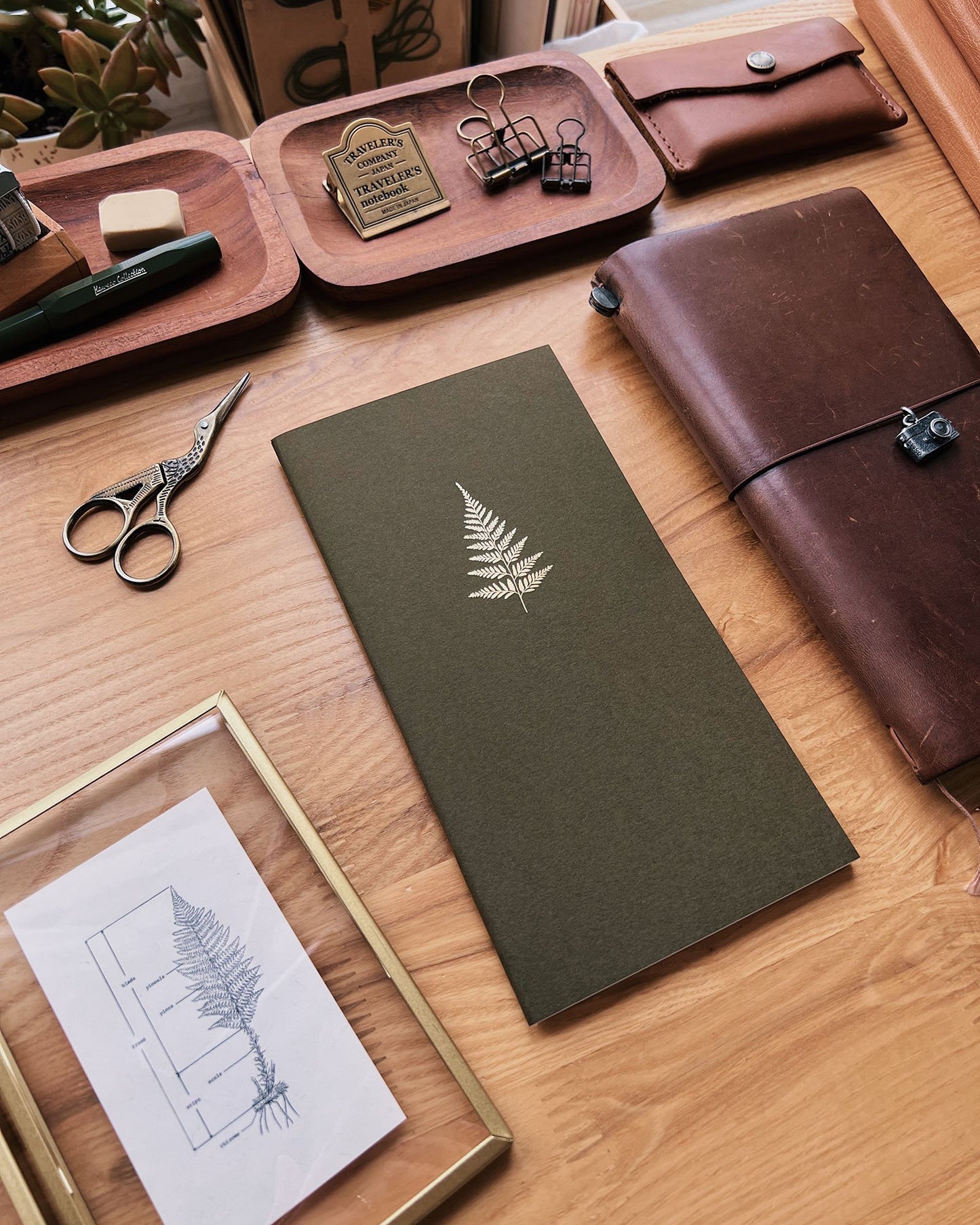 Fern Notebook (Standard TN Size)