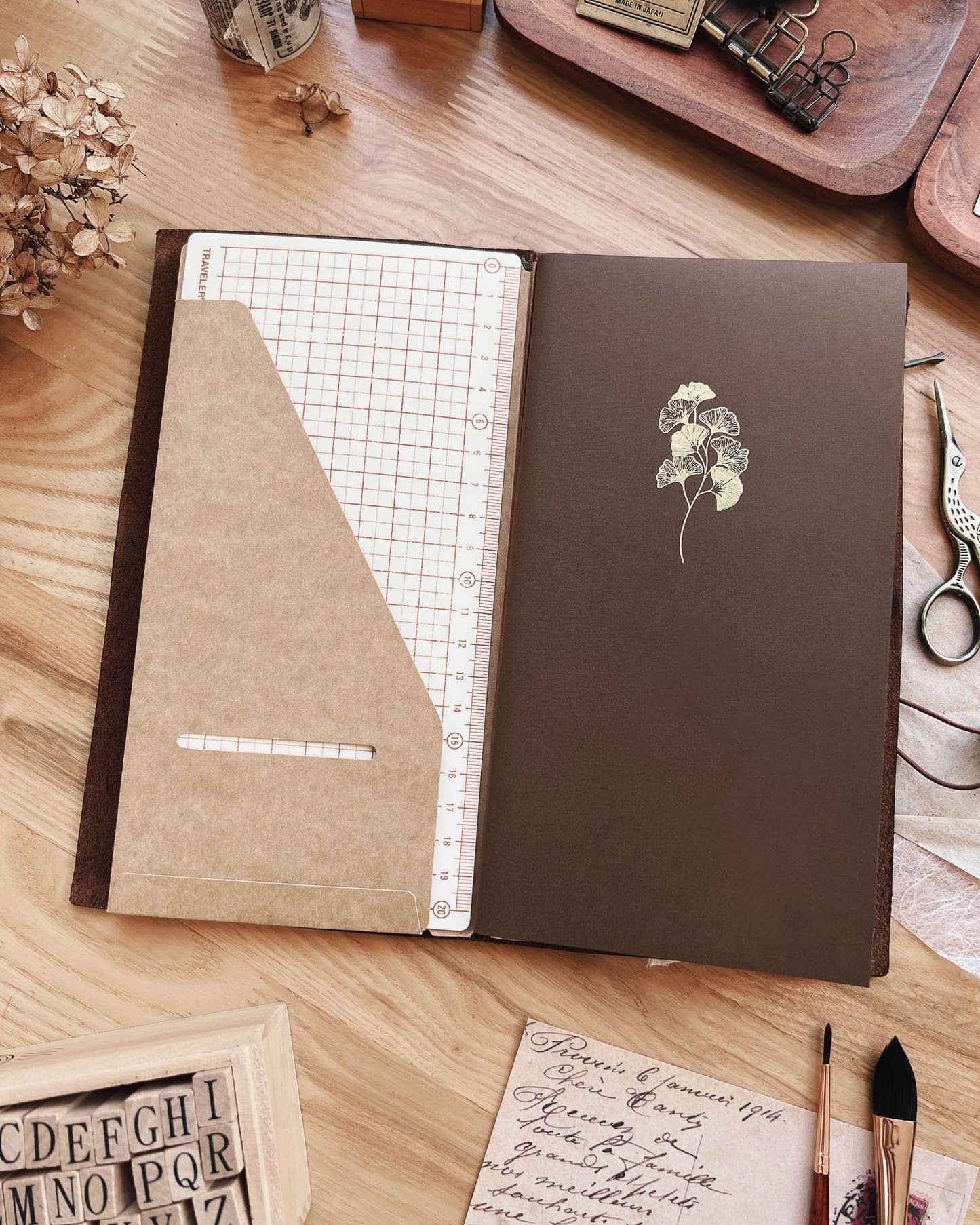 Ginkgo Notebook (Standard TN Size)