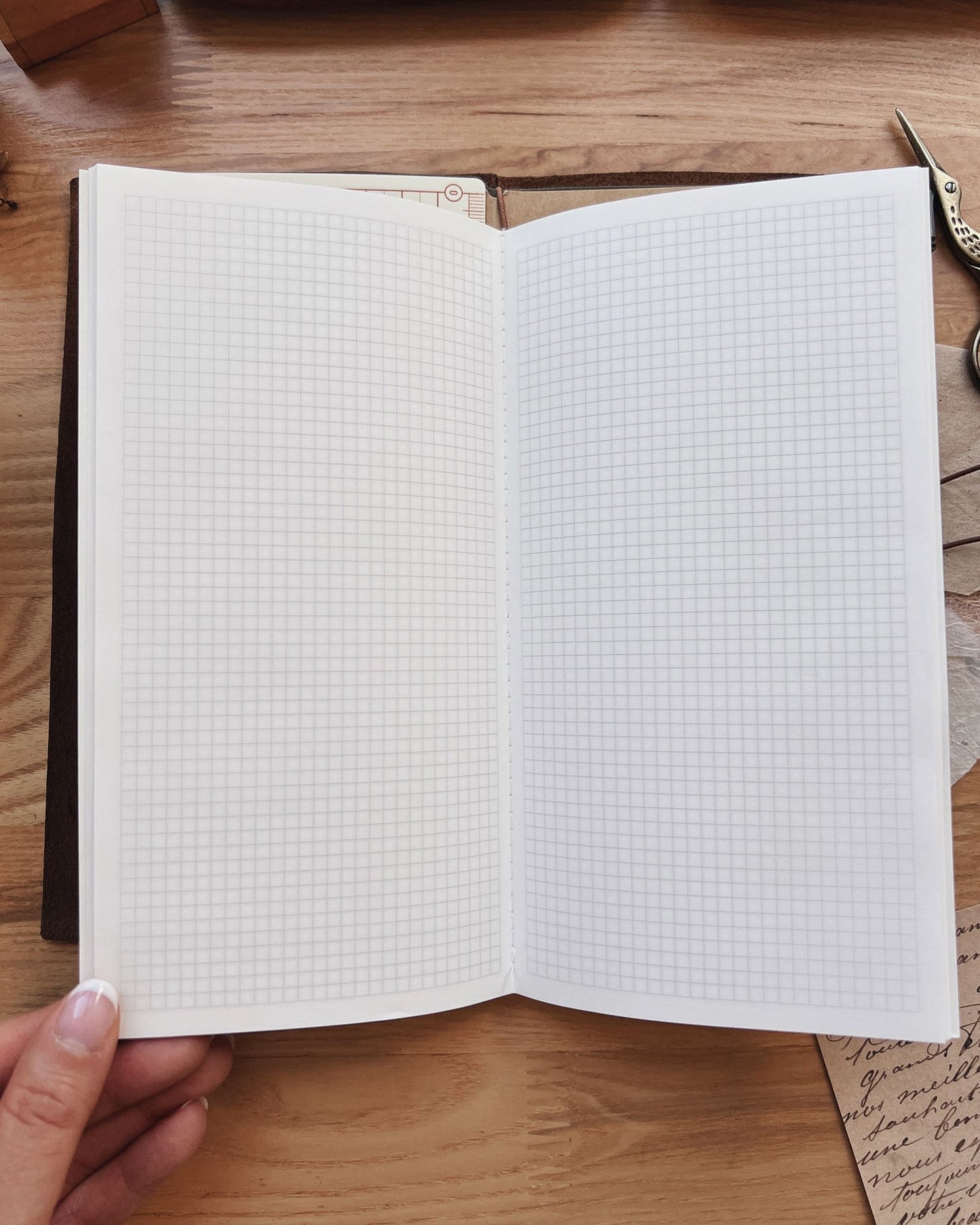 Ginkgo Notebook (Standard TN Size)