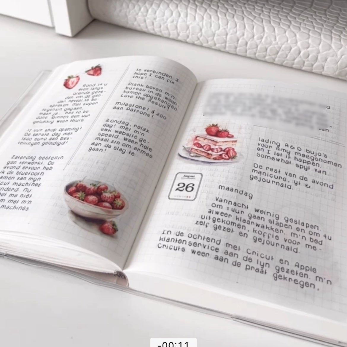 Raspberries | Set of 2