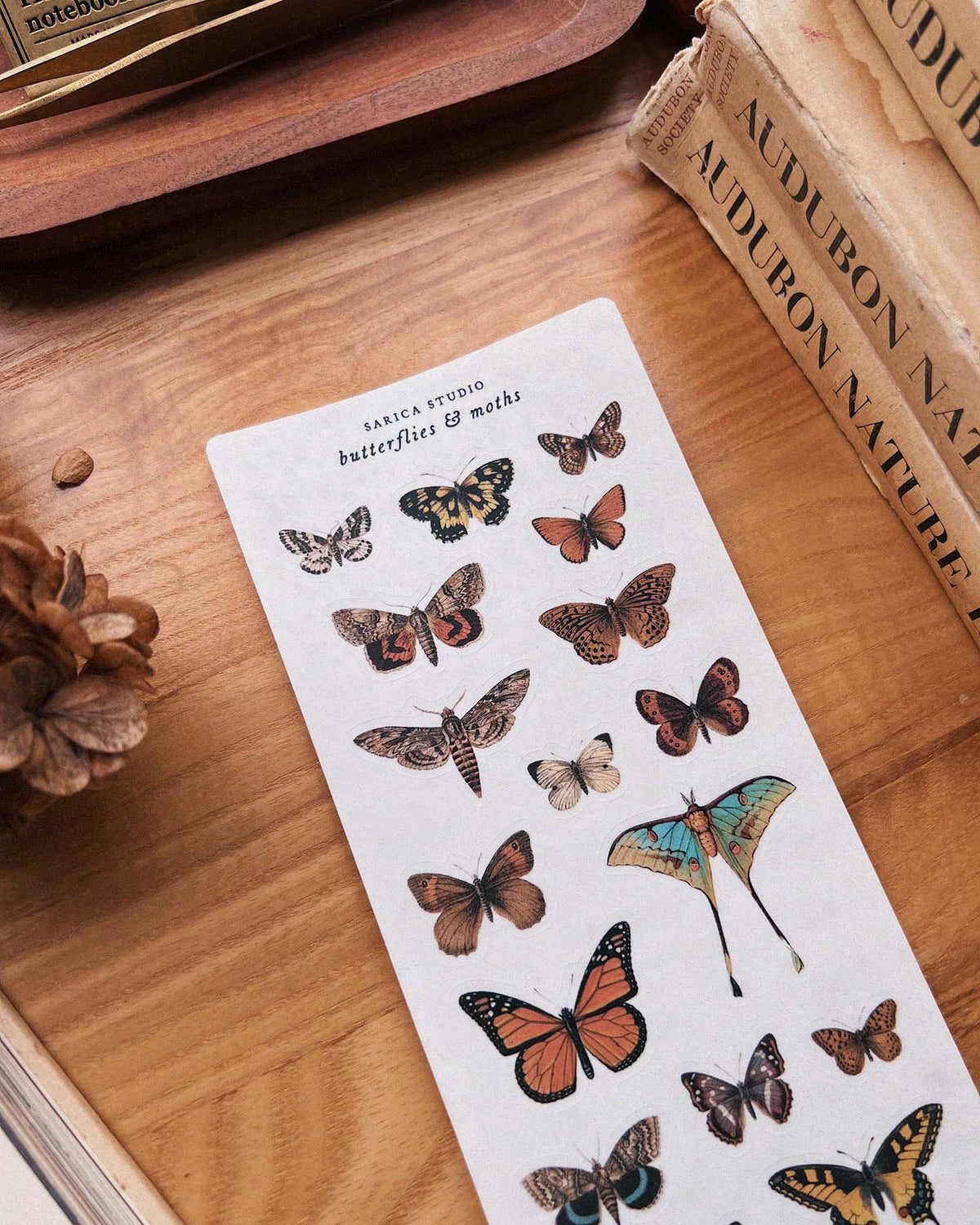 Butterflies & Moths Stickers