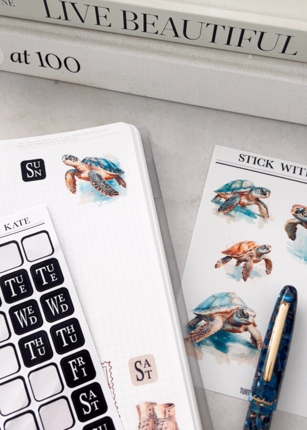 Turtle Beach Sticker Sheet
