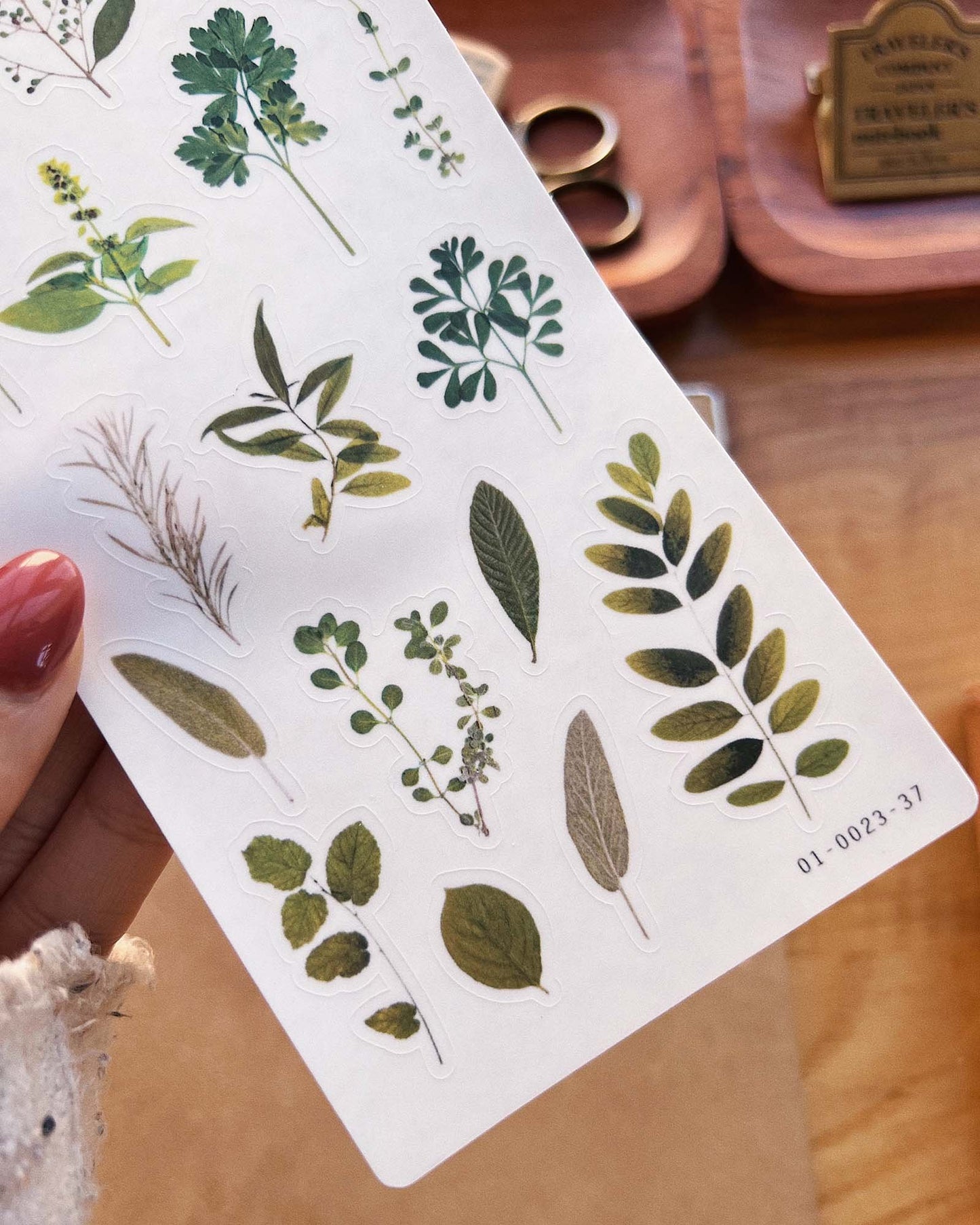 Green Leaves & Herbs Stickers