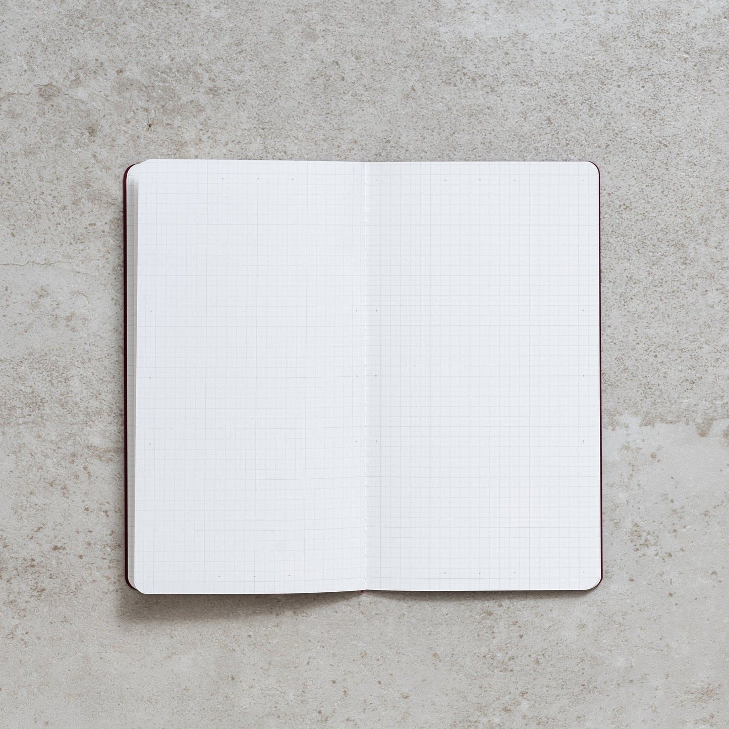 "RECORD" - LITE Undated Monthly Planner