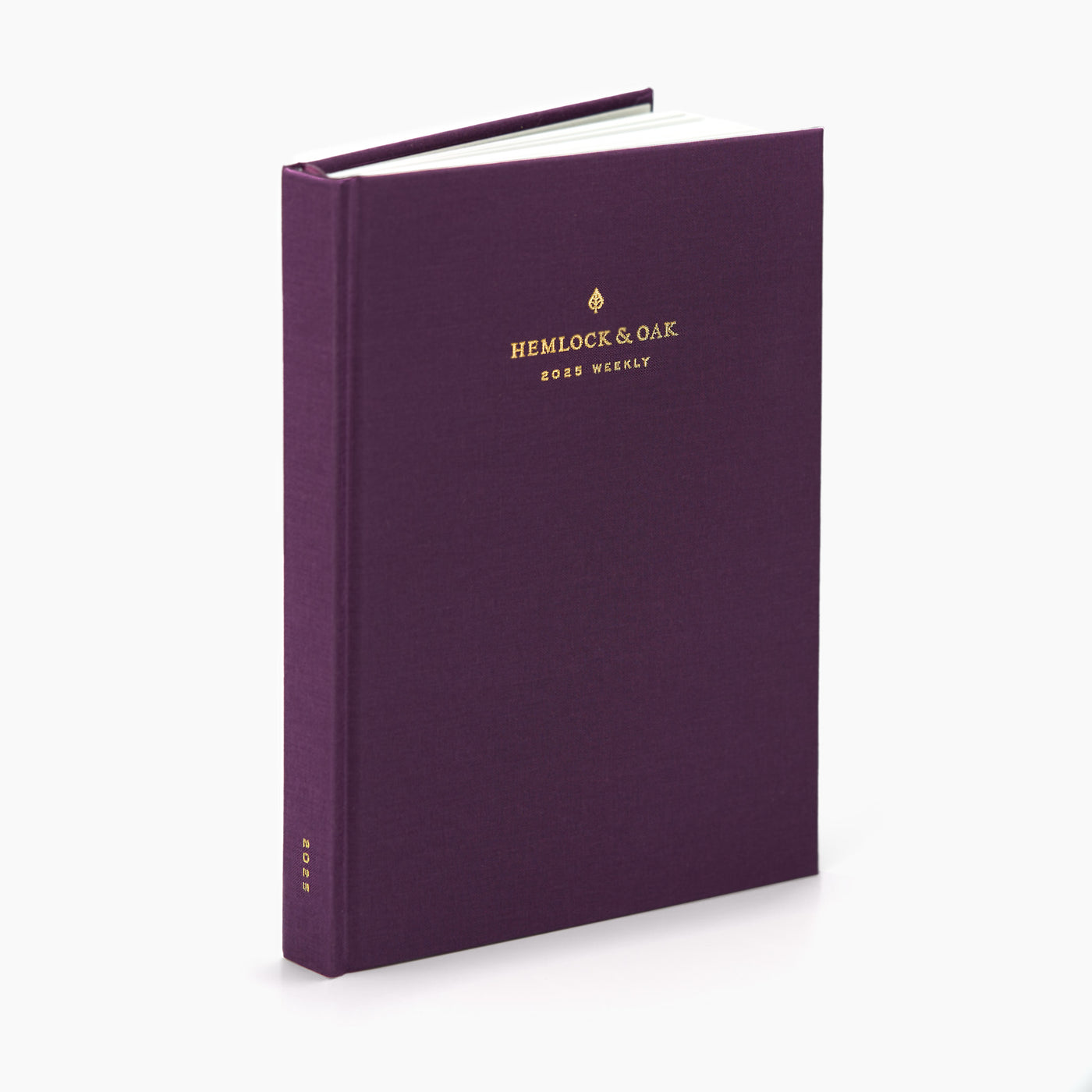 2025 Weekly Planner