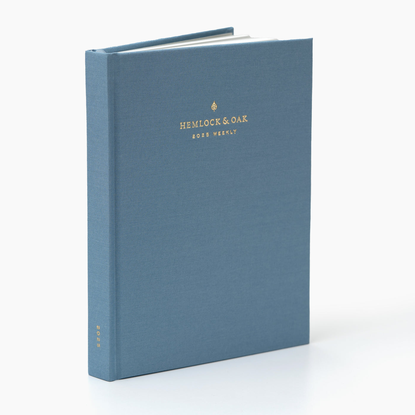 2025 Weekly Planner